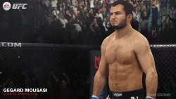 Скриншот к игре EA Sports UFC