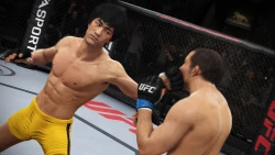 Скриншот к игре EA Sports UFC