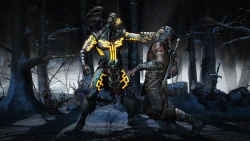 Скриншот к игре Mortal Kombat X