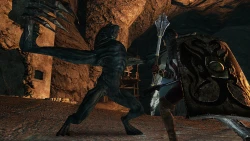 Скриншот к игре Dark Souls II: Crown of the Old Iron King
