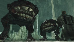 Dark Souls II: Crown of the Old Iron King Screenshots