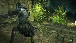 Dark Souls II: Crown of the Sunken King Screenshots