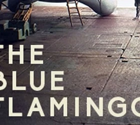 The Blue Flamingo