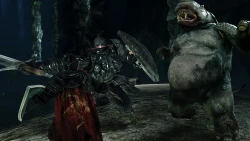 Dark Souls II: Scholar of the First Sin Screenshots