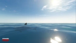 Stranded Deep Screenshots