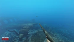 Stranded Deep Screenshots
