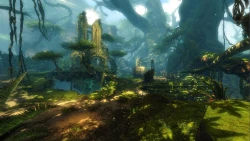Guild Wars 2: Heart of Thorns Screenshots