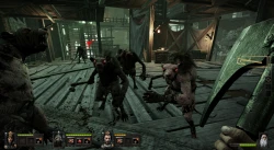 Скриншот к игре Warhammer: The End Times - Vermintide