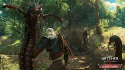 Скриншот к игре The Witcher 3: Wild Hunt - Blood and Wine