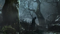 Скриншот к игре Bloodborne: The Old Hunters