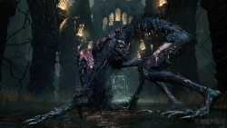 Скриншот к игре Bloodborne: The Old Hunters