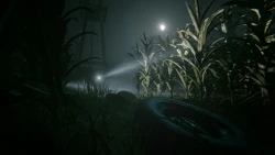 Outlast II Screenshots