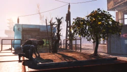 Скриншот к игре Fallout 4: Far Harbor