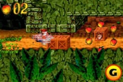 Скриншот к игре Crash Bandicoot: The Huge Adventure