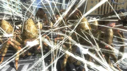 Earth Defense Force 4.1: The Shadow of New Despair Screenshots