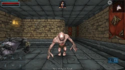 Скриншот к игре Dungeon Hero RPG