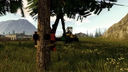 Forestry 2017 - The Simulation Screenshots