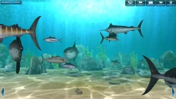 World of Fishing Screenshots