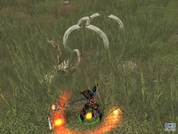 Скриншот к игре Lords of EverQuest