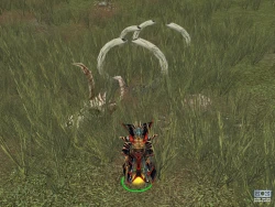 Скриншот к игре Lords of EverQuest