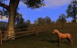 Agricultural Simulator 2011 Screenshots