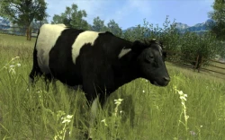 Agricultural Simulator 2011 Screenshots