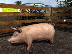 Agricultural Simulator 2011 Screenshots
