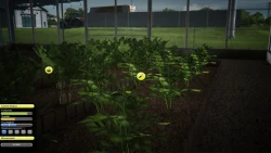Agricultural Simulator 2013 Screenshots