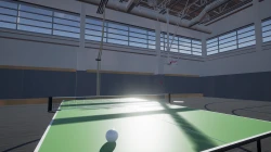Table Tennis VR Screenshots