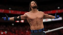 Скриншот к игре WWE 2K17