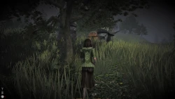 Witan Screenshots