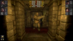 Скриншот к игре Deep Paths, The: Labyrinth Of Andokost