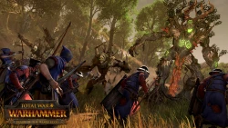 Total War: Warhammer - Realm of The Wood Elves Screenshots