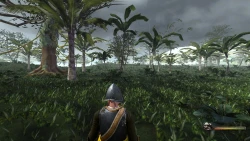 Blood & Gold: Caribbean! Screenshots