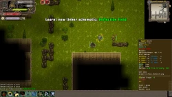Tales of Maj'Eyal - Embers of Rage Screenshots