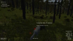 Скриншот к игре Wolf Simulator