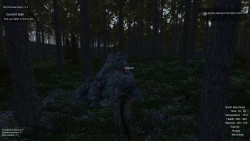 Wolf Simulator Screenshots