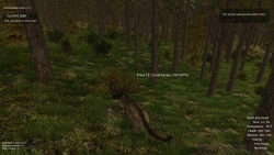 Wolf Simulator Screenshots