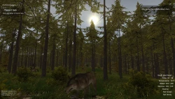 Wolf Simulator Screenshots