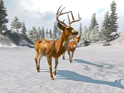 Cabela's Big Game Hunter: Trophy Bucks Screenshots