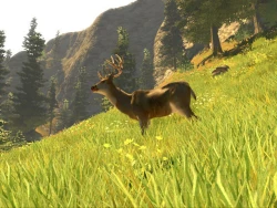 Cabela's Big Game Hunter: Trophy Bucks Screenshots