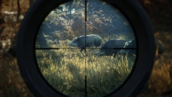Скриншот к игре TheHunter: Call of the Wild