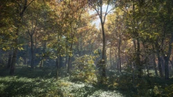 Скриншот к игре TheHunter: Call of the Wild