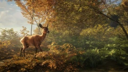TheHunter: Call of the Wild Screenshots