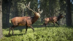 TheHunter: Call of the Wild Screenshots