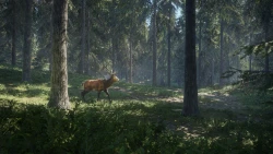 TheHunter: Call of the Wild Screenshots