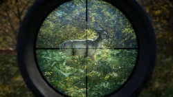 TheHunter: Call of the Wild Screenshots