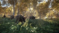 TheHunter: Call of the Wild Screenshots