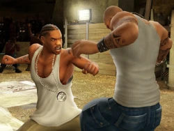 Скриншот к игре Def Jam: Fight for NY