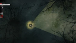 Скриншот к игре Darkwood